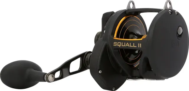 Penn Squall II 50 12.2kg 683g 4.8:1