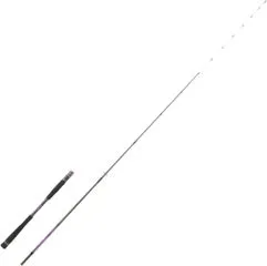 Hearty Rise Shiga Tenya Spin Spinning Rod 2.05m 30–60g