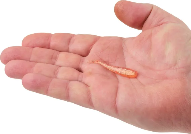 Berkley PowerBait® Minnow Softbait PBBMW2-SANG 5cm Sangria