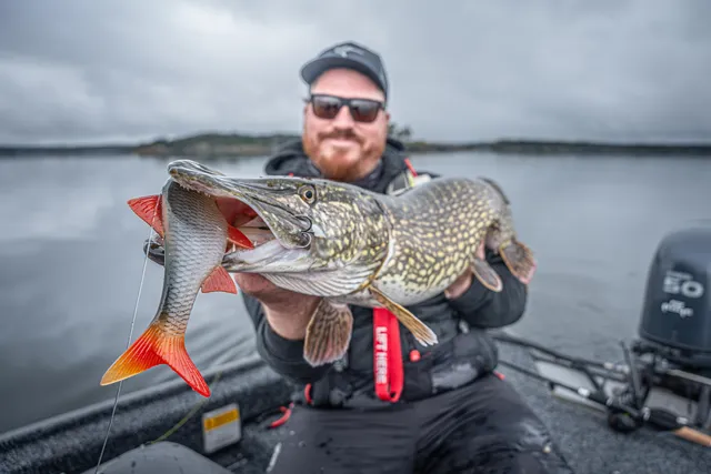 Fox Rage Ultra Natural Pike Replicant Swimbait 40cm 455g Pike