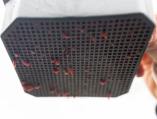 Preston Madensieb 2pt