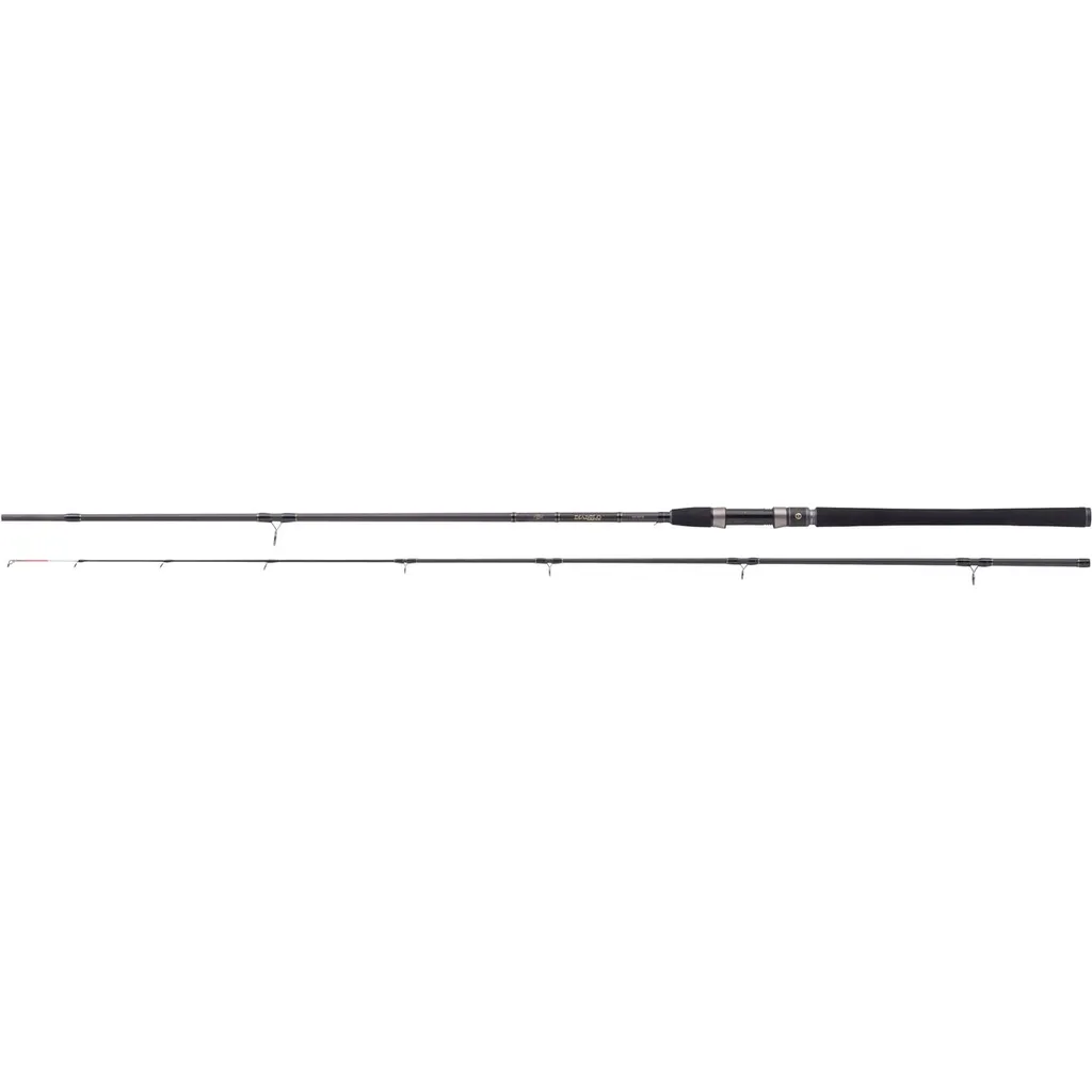 Balzer Diabolo Golden Circle Flunder Meeresrute 2.7m 25–140g 2pc