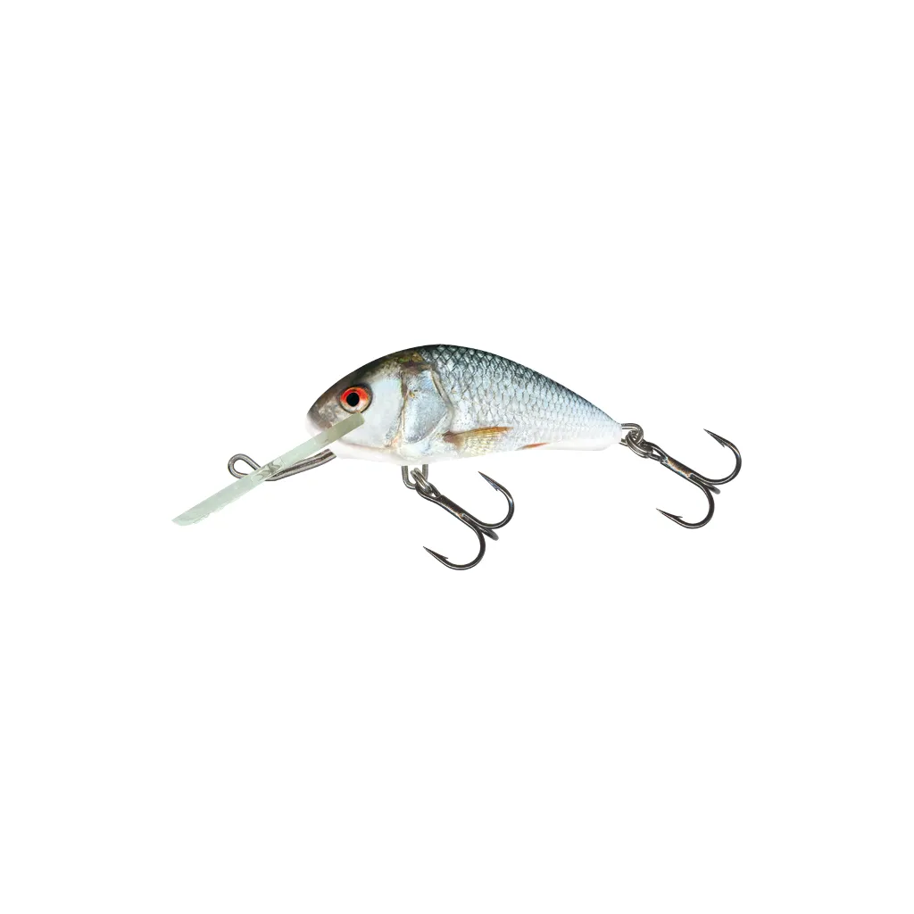 Salmo Hornet Floating Crankbait 3.5cm Real Dace