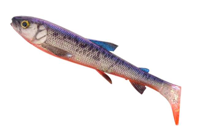 Savage Gear 3D Whitefish Shad Soft Bait 15cm 27g 2pc Hot Whitefish Savage Gear 3d Whitefish Shad - Gummifische - Länge / Gewicht / Packungsinhalt:15cm / 27g / 2 Stück