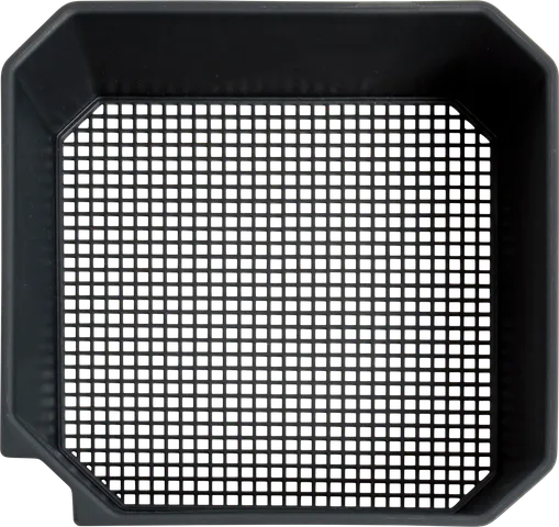 Preston Madensieb 2pt