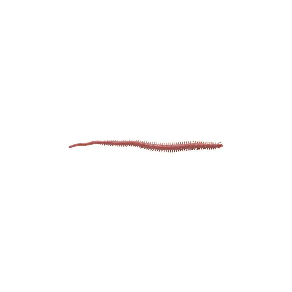 Berkley Gulp!® Sandworm (Néréïs) Gummiköder GSSW6-DBR 15cm Dark Brown