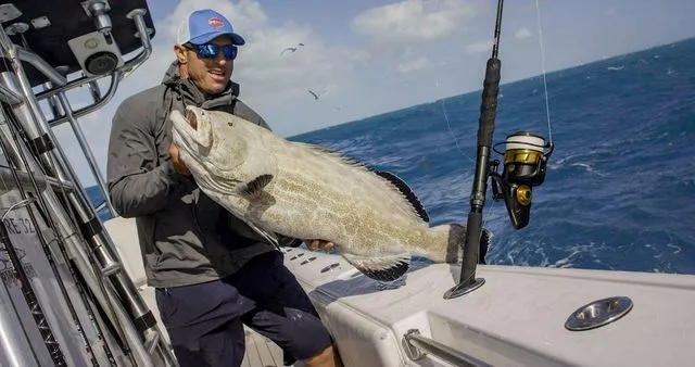 Penn Spinfisher VI 6500 632g 13.6kg 107cm 5.6:1