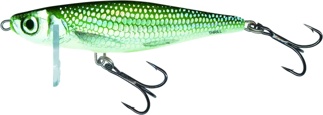 Salmo Thrill Crankbait 5cm 6.5g Holo Bleak