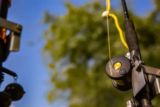 Black Cat Zeus Line G2 0.38mm 37kg 400m yellow