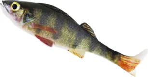 Westin Original Perch Gummifische 12cm 19g Real Perch