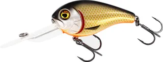 Westin MegaBite DR Crankbait 3–4m Official Roach