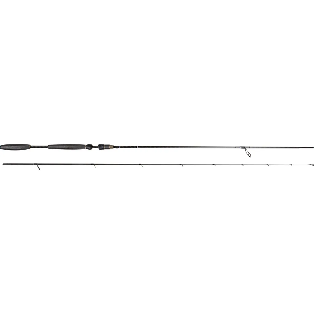 Westin W10 SPIN Meeresrute 3.05m 10–34g 2pc MH