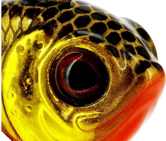 Westin DropBite Tungsten Spin Tail Jig 1.6cm 7g Gold Rush