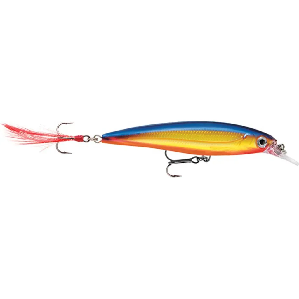 Rapala X-Rap Wobbler XR10 10cm 13g HS