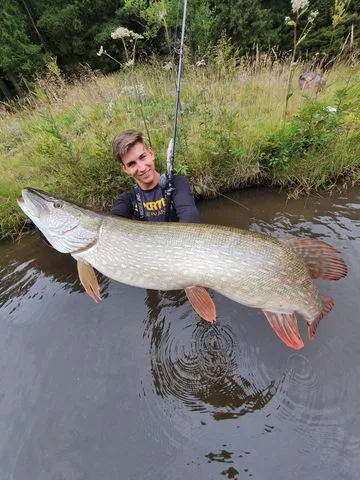 Savage Gear 4D Line Thru Trout 25cm 180g 0.5–1.5m Slow Sinking Rainbow