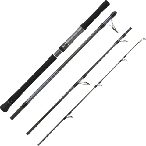 Hearty Rise Skywalker Exo Light Meeresrute 2.56m 80–180g 4pc