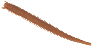 Berkley Gulp! Saltwater Fat Sandworm 10cm Natural