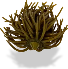 Black Cat Real Worm Teaser #2/0 #5/0 120g 2 real worm