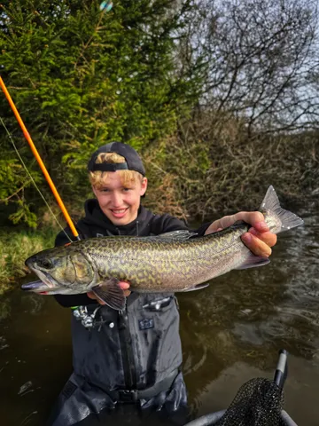 Abu Garcia Zenon Spinning Reels 2000S 145g 3kg 69cm 11 5.2:1