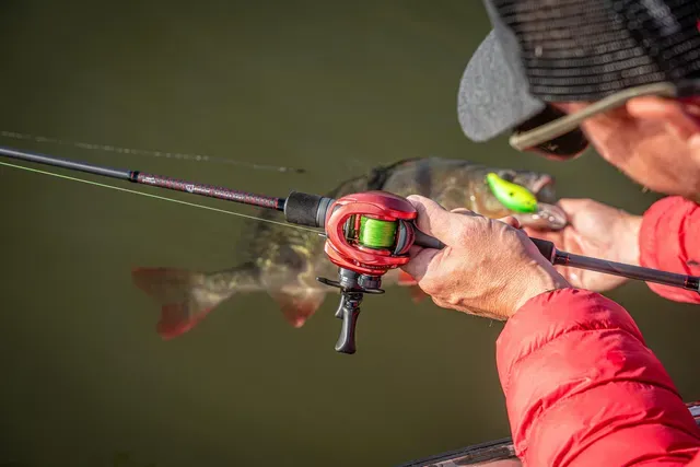 Fox Rage Warrior Zander Cast Casting Rod 2.10m 10–40g