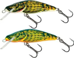 Salmo Bullhead Köder-Set 2Pcs 6cm 1–1.5m 6g