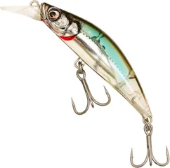 Westin Rushbait Meereköder 100EFS 52g Sweetspot