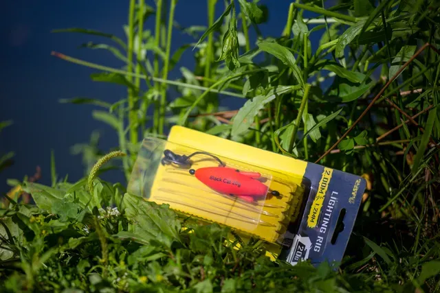 Black Cat Dead Bait Rig 2m 8/0