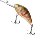 Salmo Hornet 6cm 2–5.6m 10g Spotted Brown Perch