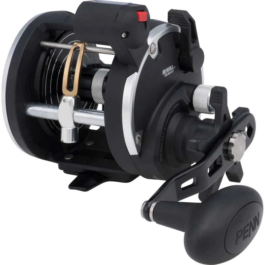 PENN Rival Level Wind Meeresrolle RIV30LWLC 3.9:1 Right