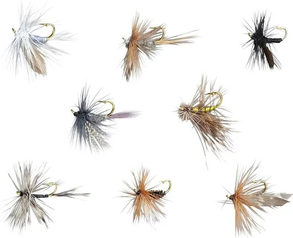 Balzer Edition Fly Lure Kit 8Pcs Trockenfliegen