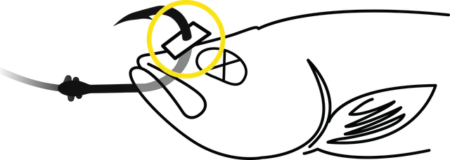 Black Cat Baitfish Stopper 1.5m 15mm 100 black