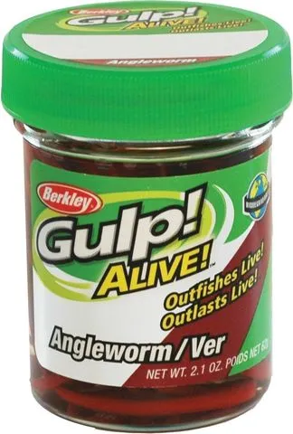 Berkley Gulp! Alive! Angle Worm 3cm 60g Red Wiggler