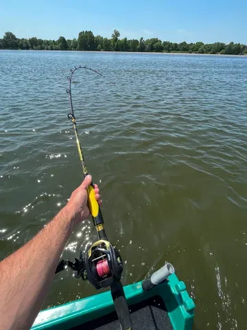 Black Cat Perfect Passion Allstar Cast Casting Rod 2.2m 30–130g Semi-Parabolic