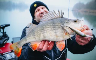 Twitchbaits für Winterbarsche  