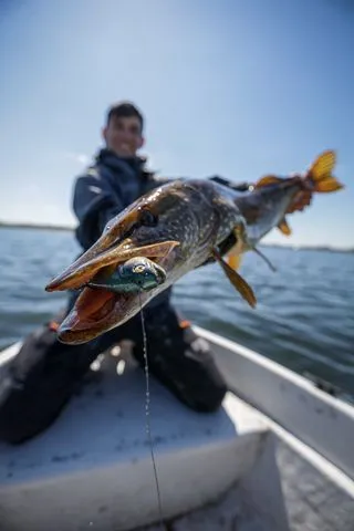 Savage Gear 4D Line Thru Pulse Tail Trout Softbaits 20cm 102g Slow Sinking Green Silver