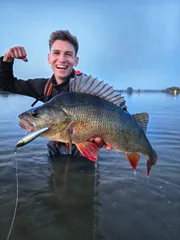 Savage Gear Bullet Mullet 11.2cm 23.5g Mirror Ayu