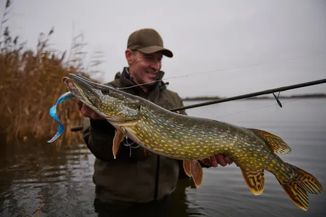 Savage Gear 3D Hard Eel 2+1 17cm 50g Firetiger