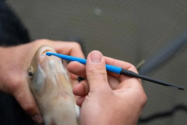 Preston Floater Disgorger Baiting Needle Plastic Coarse