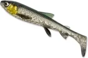 Savage Gear 3D Whitefish Shad 17.5cm 42g 2pc Green/Silver