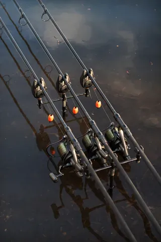 Fox EOS X Rute 3.66m 3.25lb