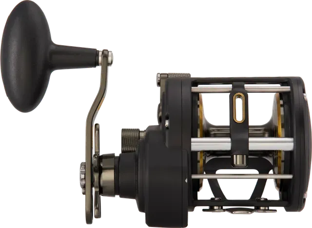 Penn Fathom II Level Wind 20 5.5:1 621g