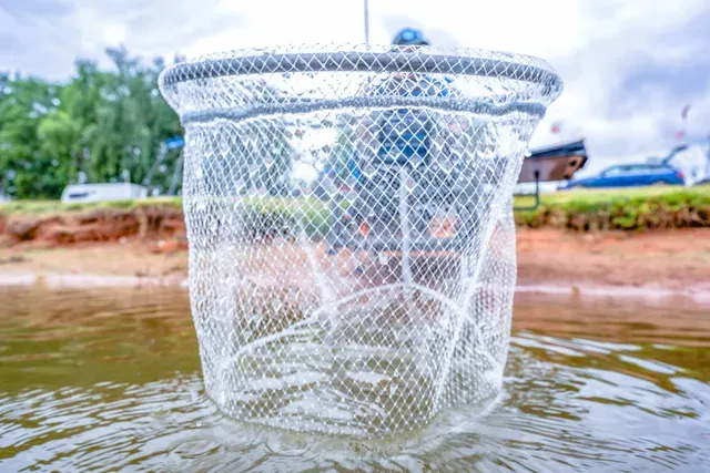 Preston Carbon Euro Match Kescher 41cm Nylon