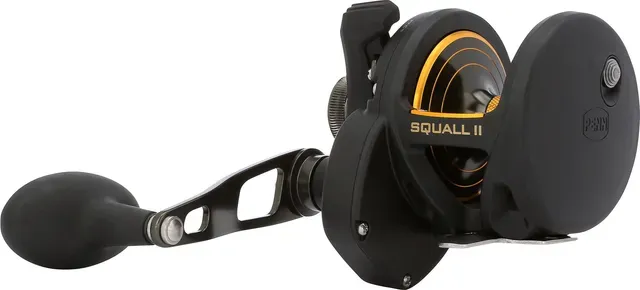 Penn Squall II 25 13.6kg 535g 5.3:1