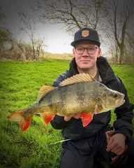 Spring Vibes – Die Barsche haben bock!