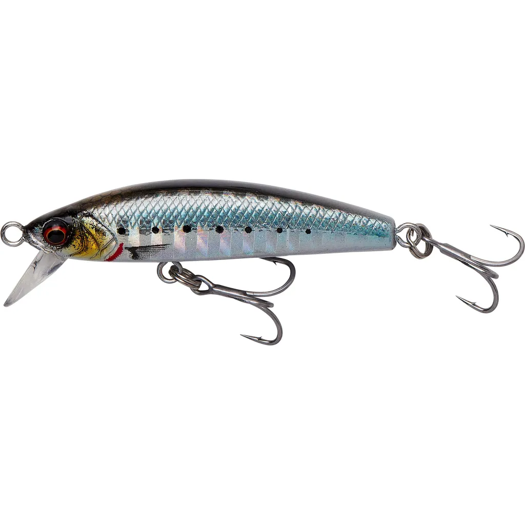 Savage Gear Gravity Minnow Twitchbait 5cm 3.1g F Sardine Photo Print