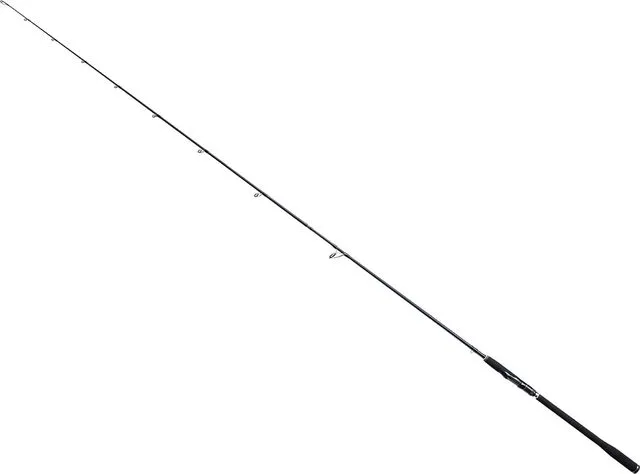 Bullseye Dentist 300 50-165g Spinnrute Progressive