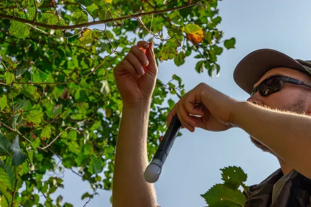 Fox Marker Sticks 24 60cm Aluminium