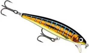Rapala X-Rap Magnum Cast Crankbaits 10cm 42g 1.2–1.5m HDSFU