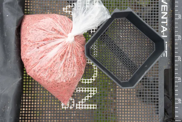 Preston Madensieb 2pt