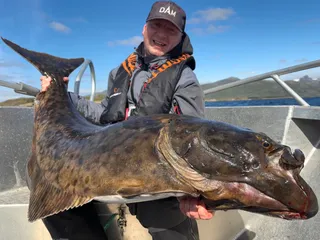 Nicht ohne diese Köder nach Norwegen!